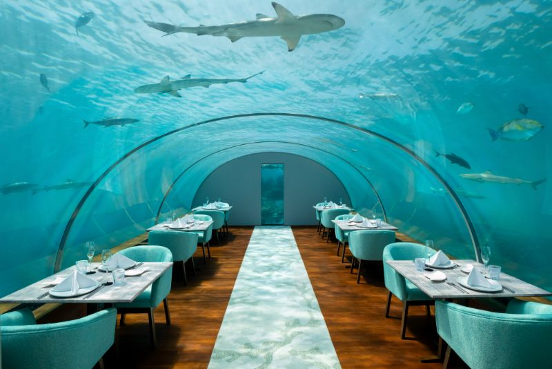 ConradMaldives_IthaaUnderseaRestaurant_JohnAthimaritis_HighRes (1)